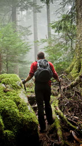 Hikers & Walkers